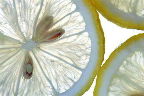 Fresh Lemon, Wishing Joy