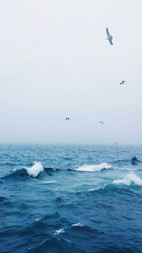 Sea~