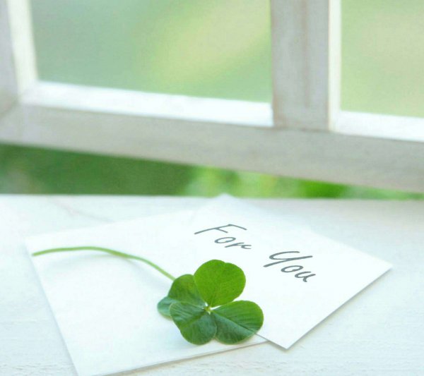 Simple four leaf clover, please like it