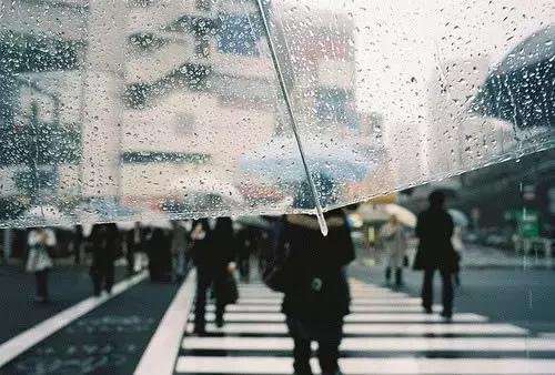 Background image, back umbrella