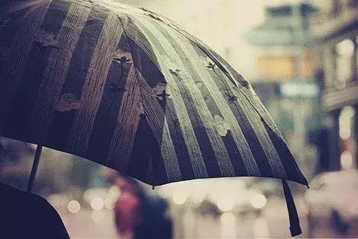 Background image, back umbrella