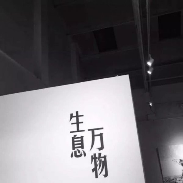 小清新图片-背景：要努力，要优秀(10)