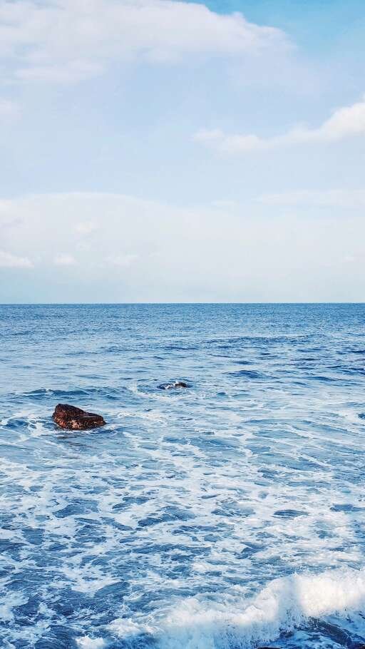 Landscape wallpaper: Whale seen in the blue sea