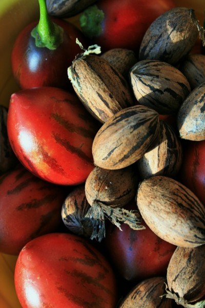 Delicious Tree Tomato Picture