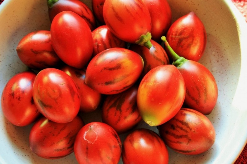 Delicious Tree Tomato Picture