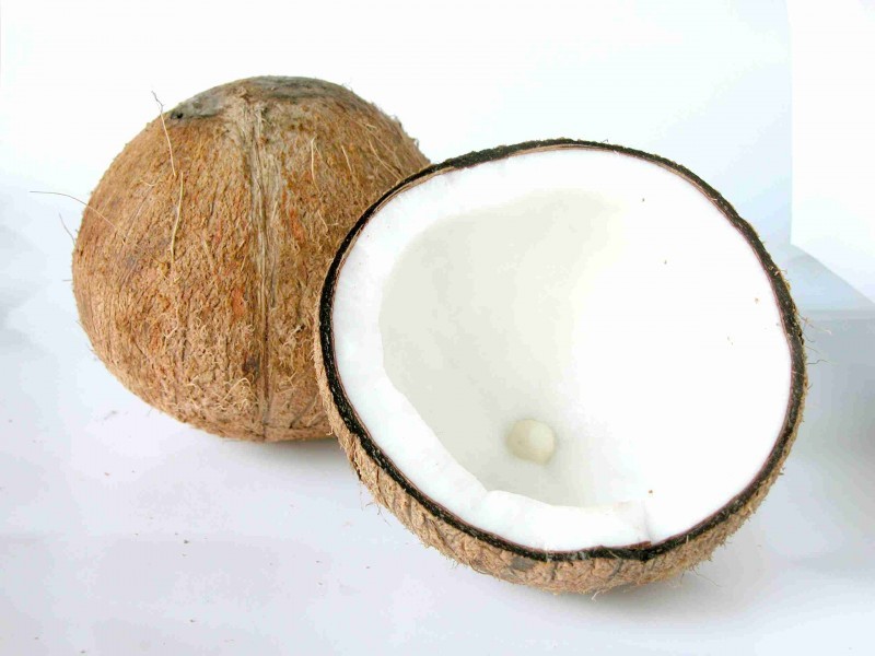 Coconut close-up image