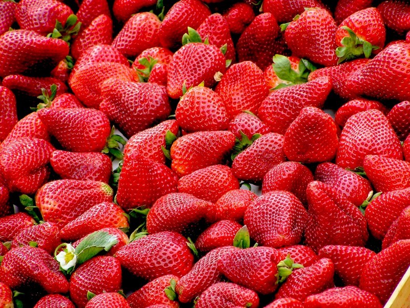 Close up picture of fresh strawberries