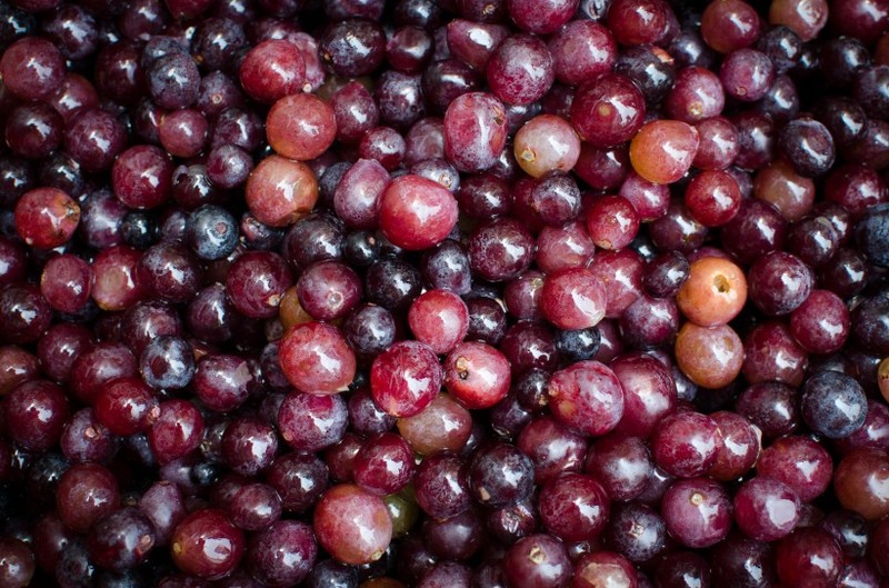 Crystal clear picture of grapes