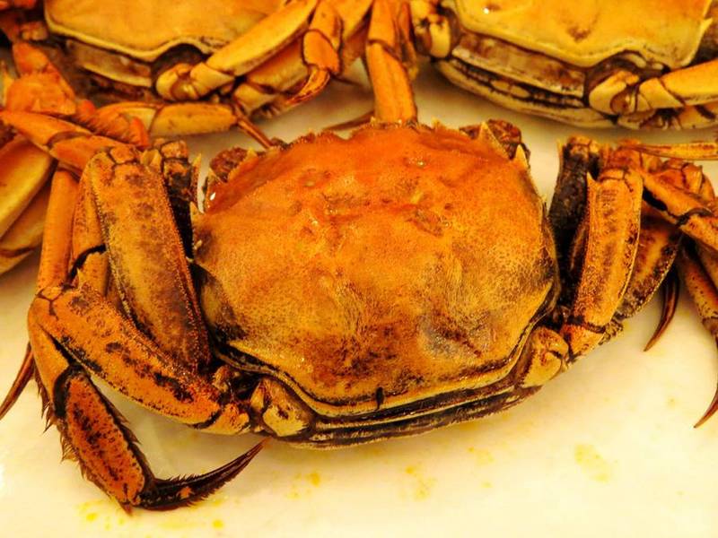 Golden Seafood Delicious Hairy Crab Picture