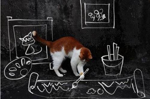 Cute Pet Cat Creative Painting Beauty Picture