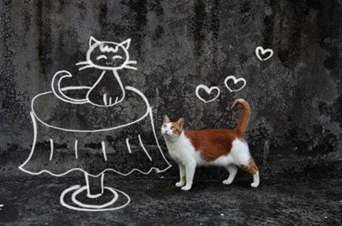 Cute Pet Cat Creative Painting Beauty Picture