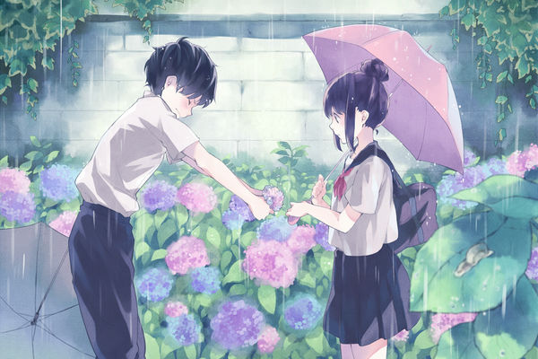 Even if it rains, I will give you a flower