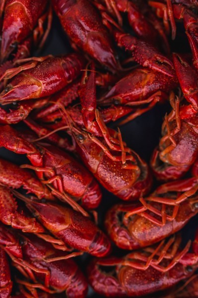 A picture of spicy crayfish