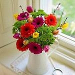 A complete collection of beautiful and personalized avatars with fresh and fresh flowers, looking up higher and farther