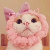 Obsessive Compulsive Disorder Avatar Cute Pet Cat Cute Super Cute 2021 Latest Love Don't Touch Ambiguity