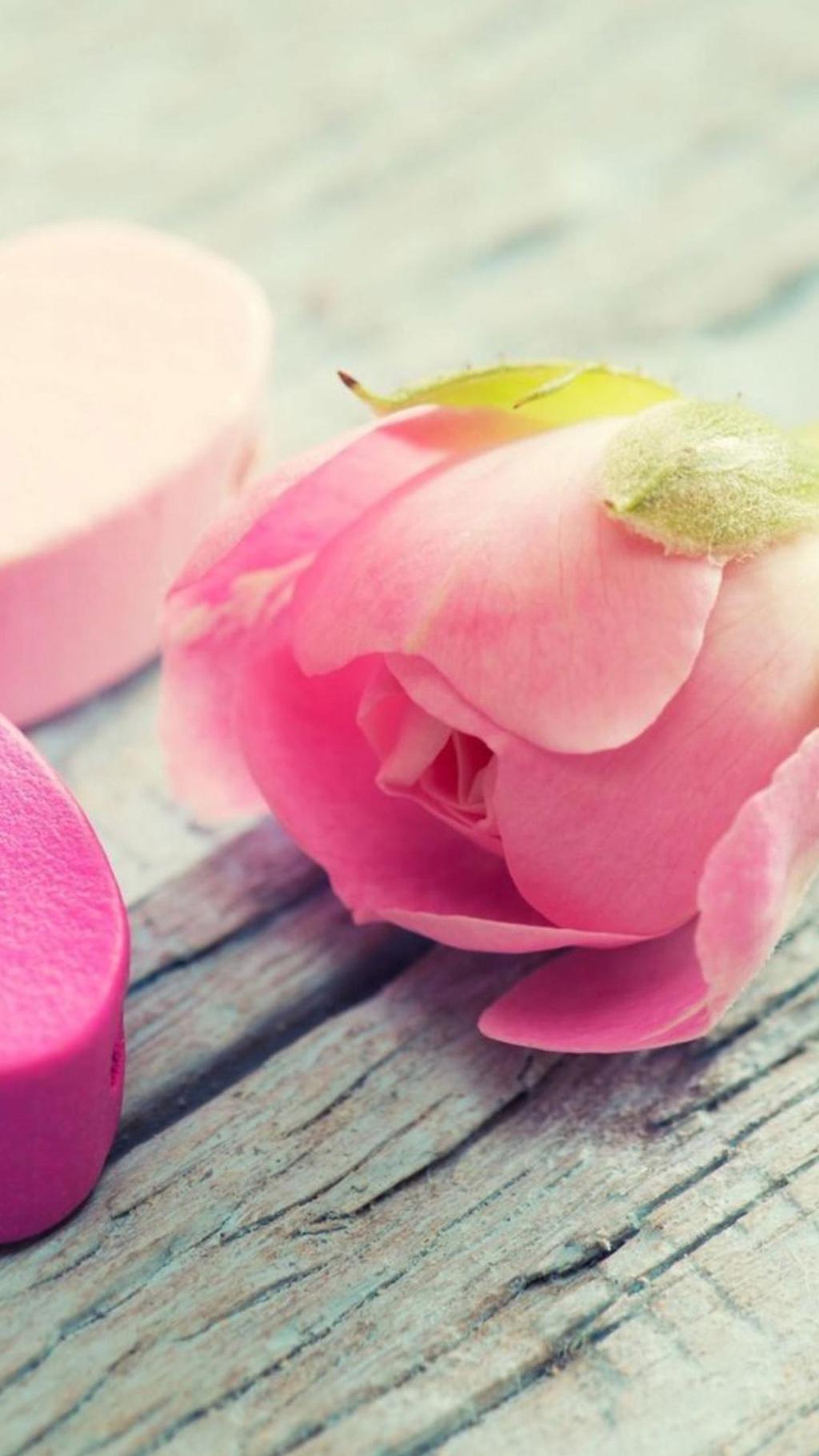 Beautiful pink petals