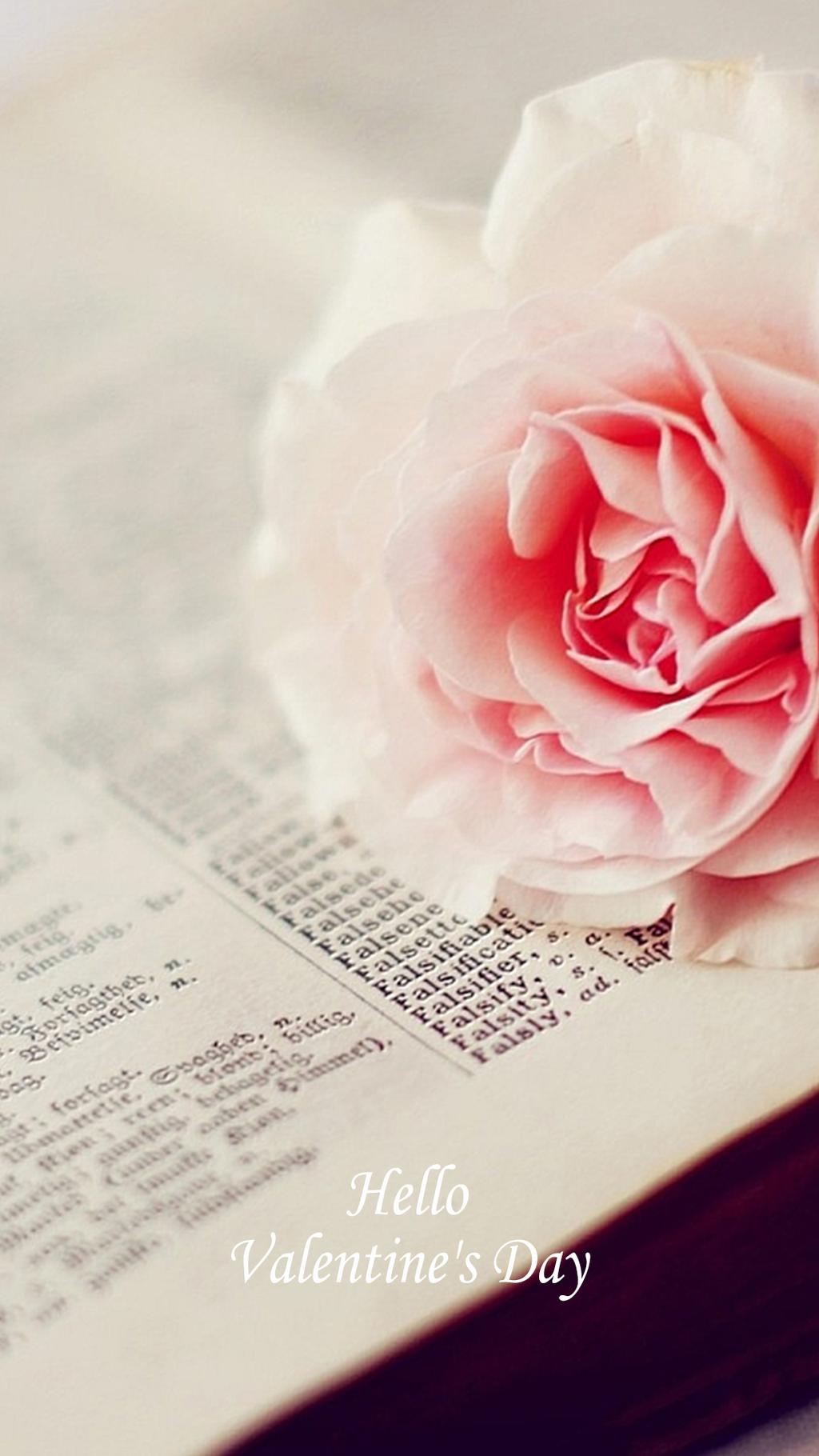 Pink Rose Language