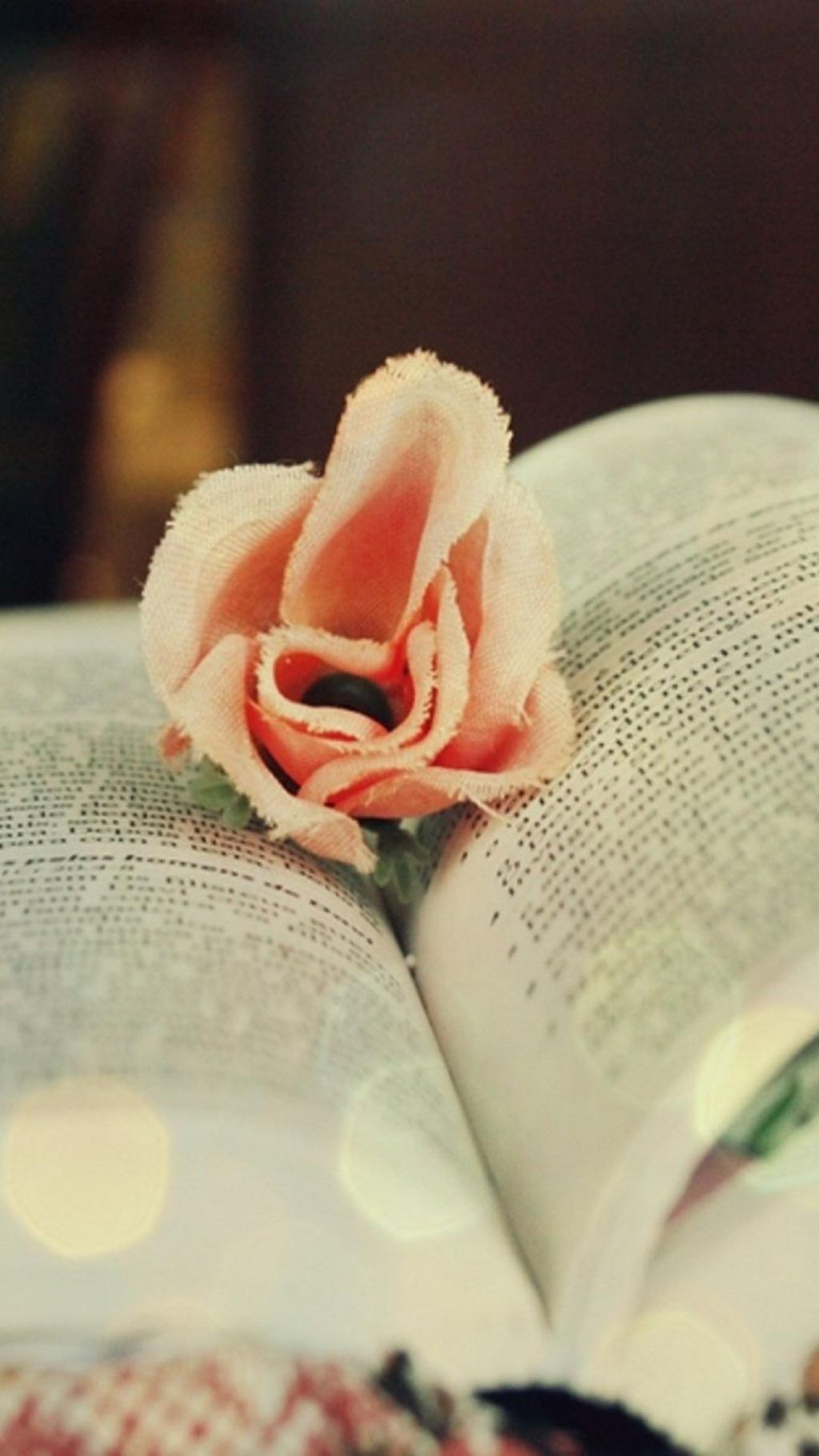 Cotton Rose Book