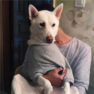 A handsome and heartwarming portrait of a boy holding a cat and a dog in 2021. Selected Love for You, So Leaving You, Tears Are Memories