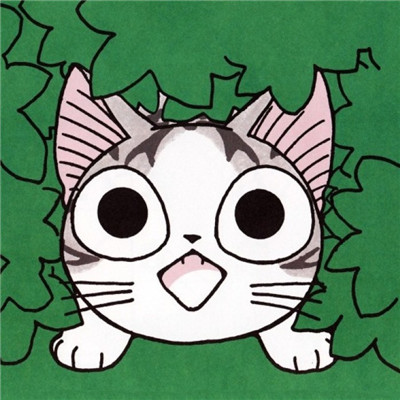 Sweet Private Cat Cartoon Avatar Cute 2021 Super Cute Sweet Private Cat Xiaoqi Avatar Picture