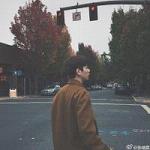 The simple and personalized Weibo avatar of a boy snuggles up to you, his heartbeat so frequent