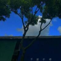 个性头像-摄影风意境个性头像发布大全 愿你像风不受煎熬不受约束(2)