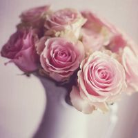 The latest collection of beautiful and realistic flower bouquets, WeChat avatars, real flower and plant pictures, temperament, and WeChat avatars