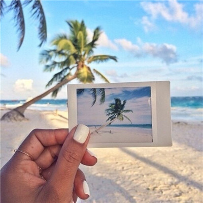 Beautiful seaside scenery avatar, coconut tree image. If you like it, strive for it, cherish it