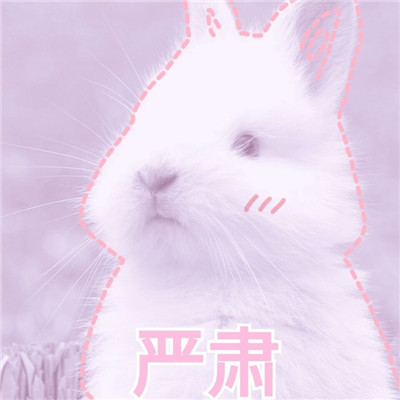 Cute and super cute little bunny avatar with words selected, cute and cute little bunny, do you like it