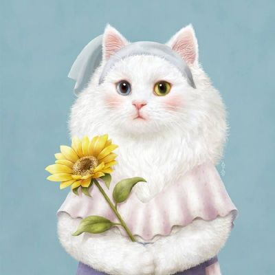 Animal QQ avatar cute cat funny avatar always makes dreams come true