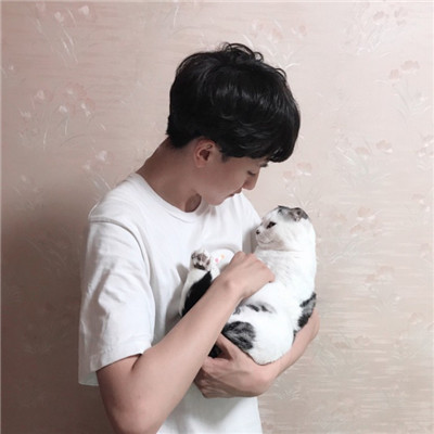 Boy holding cat avatar in 2021 high-definition picture, I really want to hide with you for a lifetime, cat