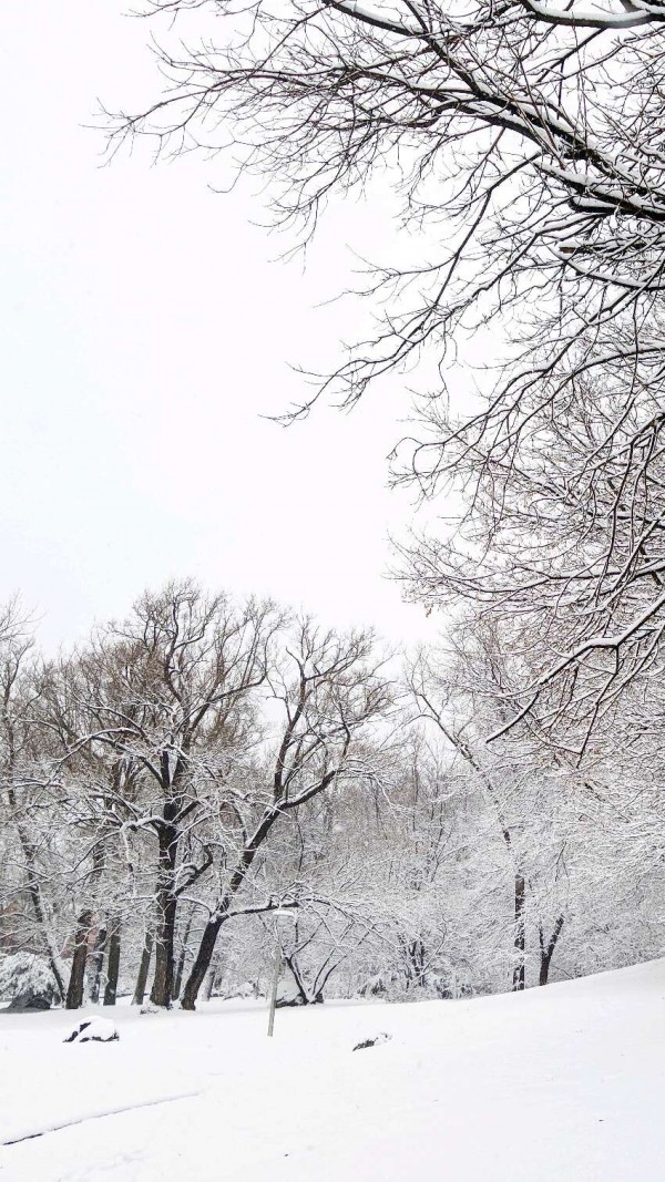 小清新图片-北风卷地白草折，胡天八月即飞雪(6)