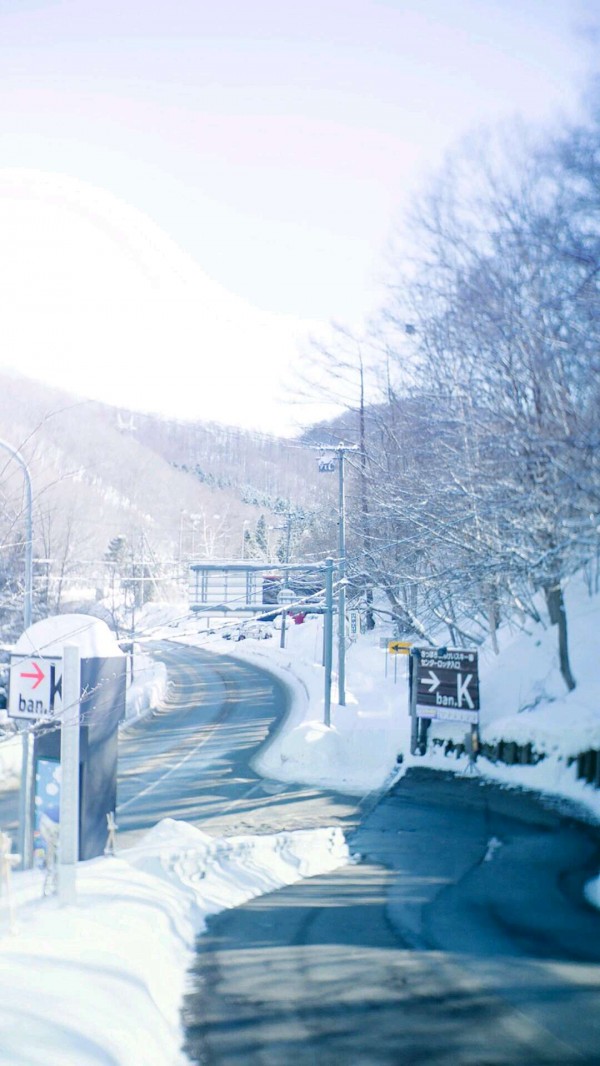 小清新图片-北风卷地白草折，胡天八月即飞雪(13)