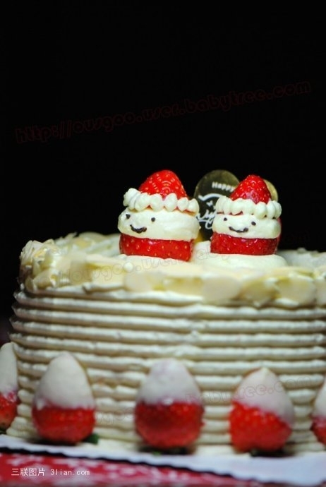 Christmas cake pictures Christmas cake pictures