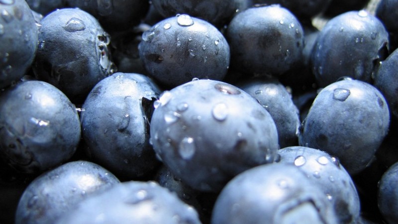 Delicious blueberry pictures