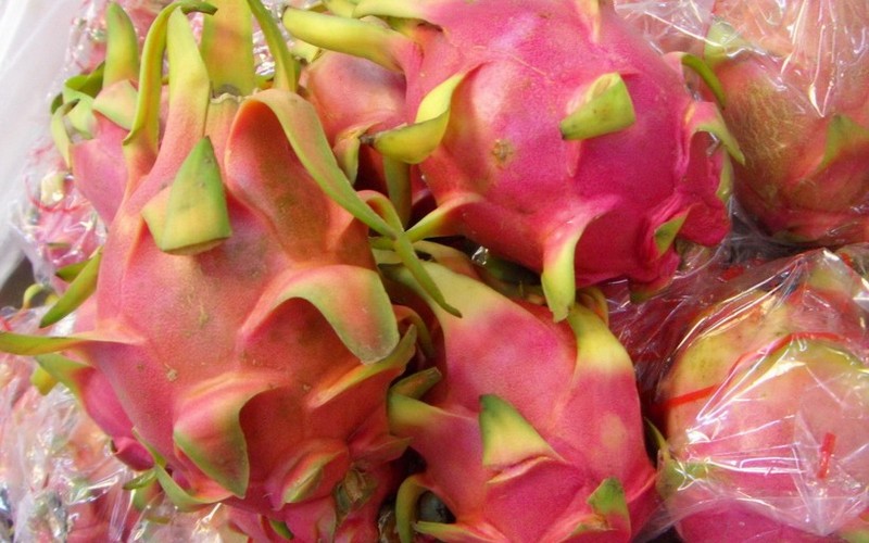 Delicious pictures of dragon fruit