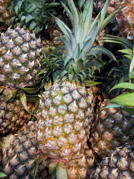 Pineapple pictures