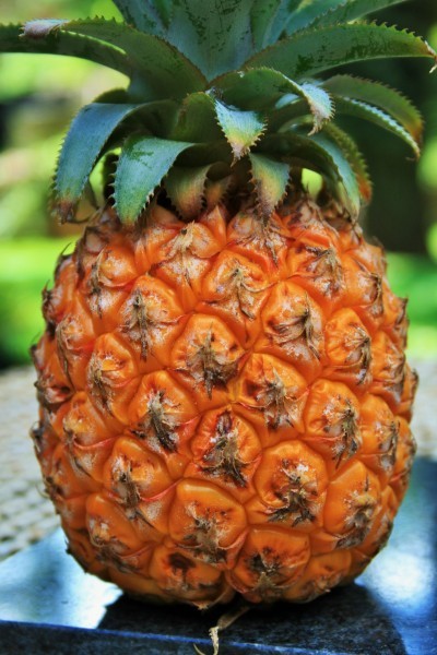 Pineapple pictures