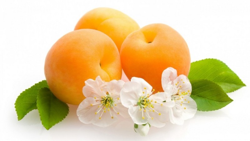 Picture of tender yellow sweet apricots