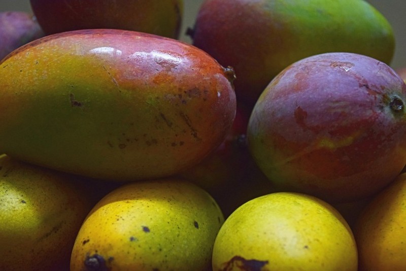 Mango pictures