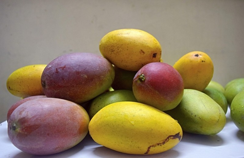 Mango pictures
