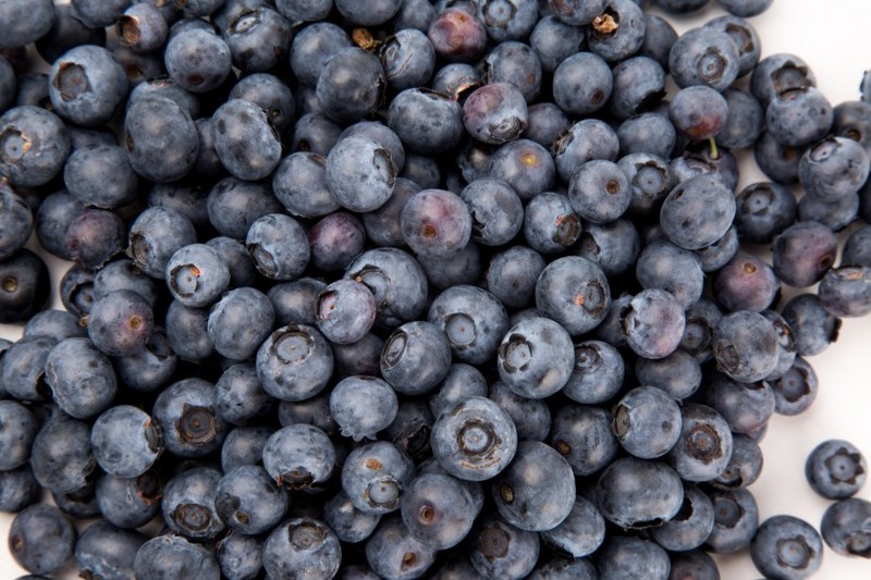 Fresh blueberry images