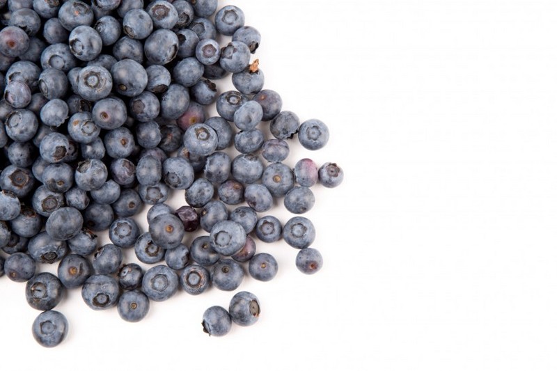 Fresh blueberry images