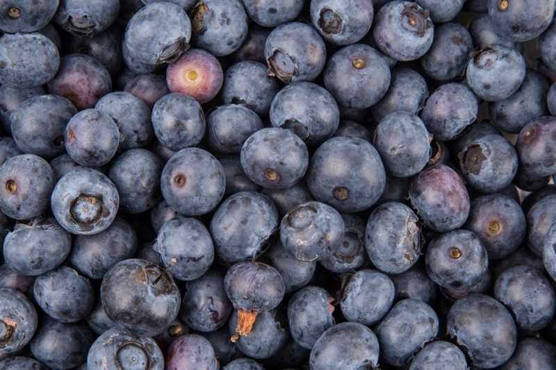 Fresh blueberry images