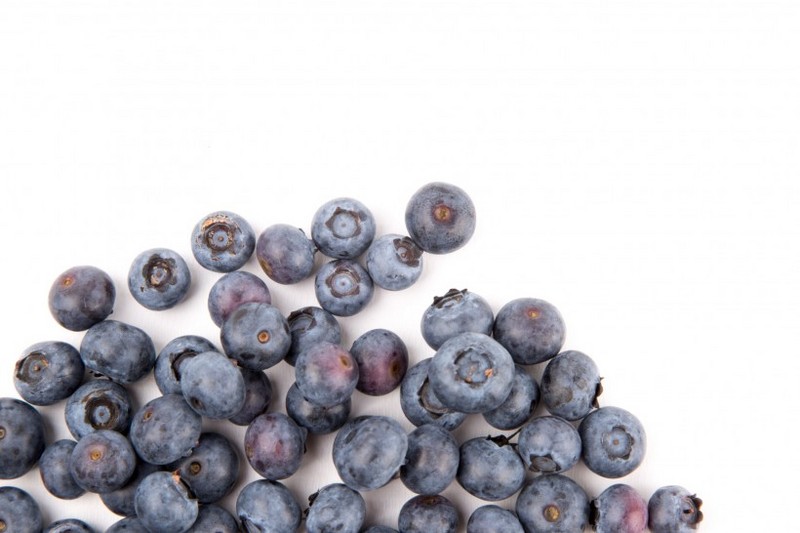 Fresh blueberry images