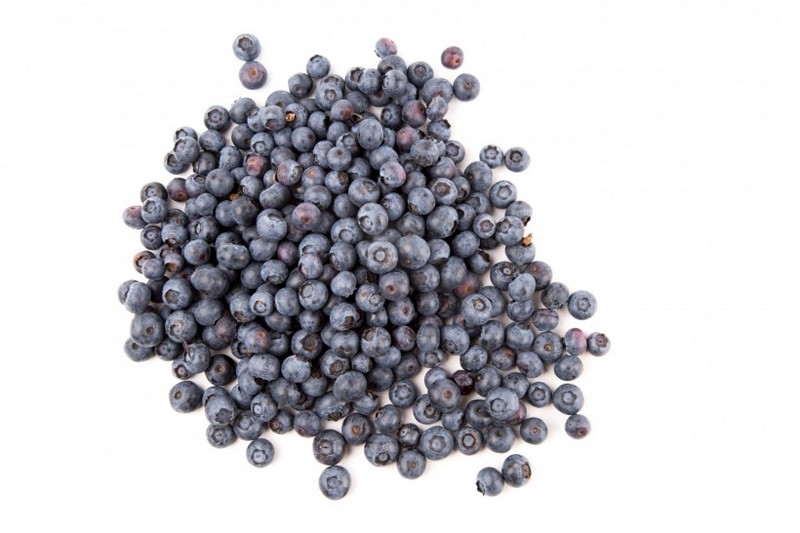 Fresh blueberry images