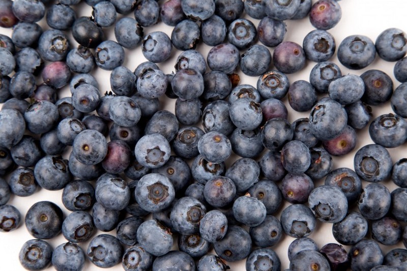 Fresh blueberry images