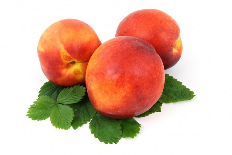 Oil Peach Picture