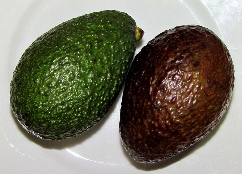 Avocado pictures