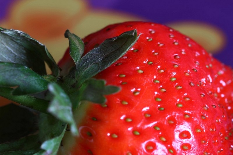 Macro strawberry image
